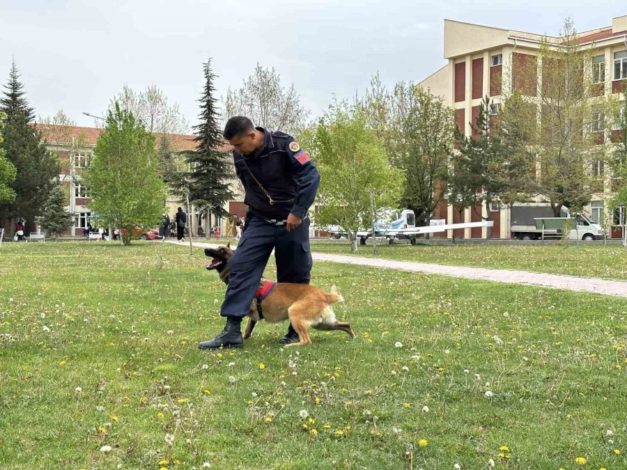 Jandarmanın Sevimli Kahramanları Fuarda Şovlarıyla İlgi Çekti