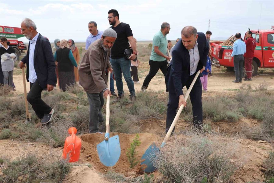Karaman’da Depremde Hayatını Kaybedenlerin Anısına Fidan Dikildi