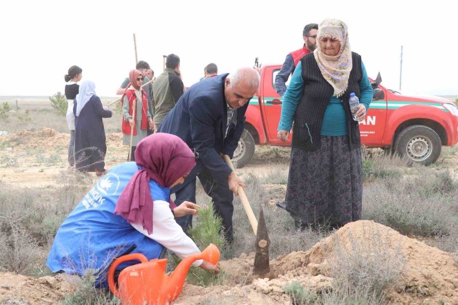 Karaman’da Depremde Hayatını Kaybedenlerin Anısına Fidan Dikildi
