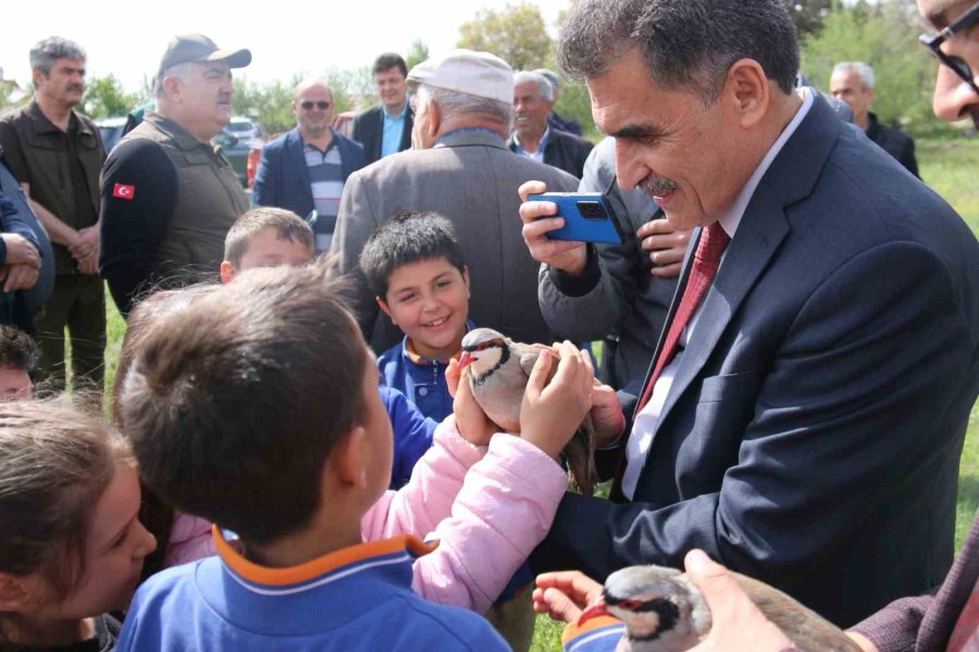 Konya’da Kınalı Keklikler Doğaya Salındı