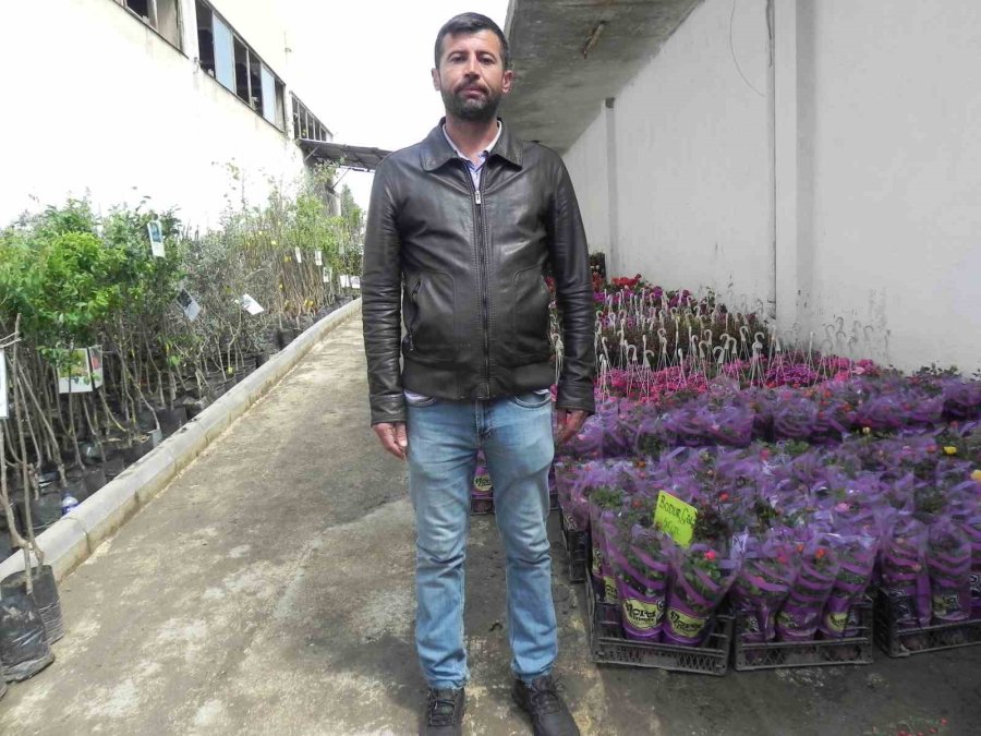 Havalar Isındı, Fideler Tezgahlardaki Yerini Almaya Başladı