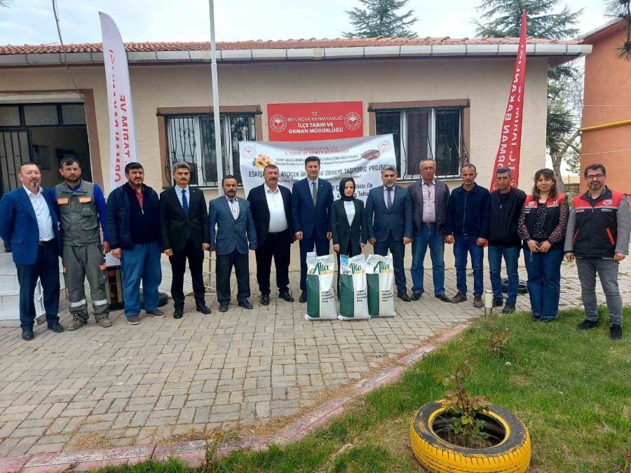 Beylikova’ya Ayçiçeği Ve Sorgum Tohum Desteği