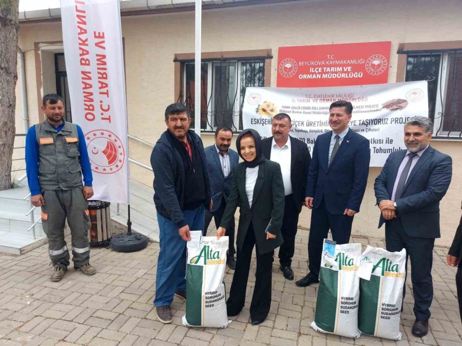 Beylikova’ya Ayçiçeği Ve Sorgum Tohum Desteği