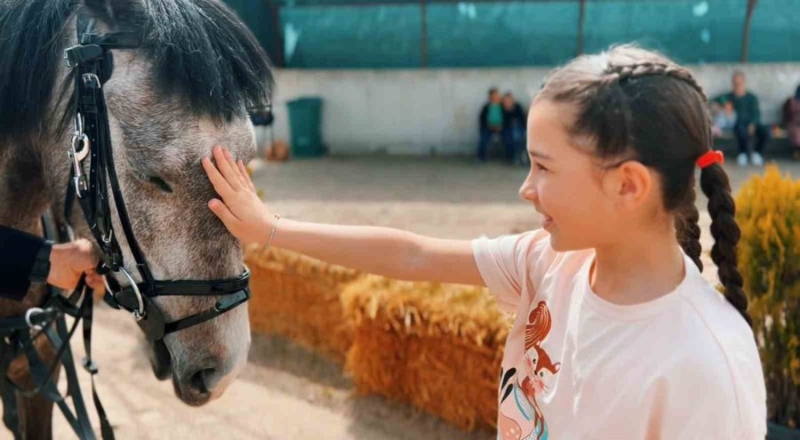 Büyükşehir Spor A.ş.’den ’atlı Tur” Hizmeti