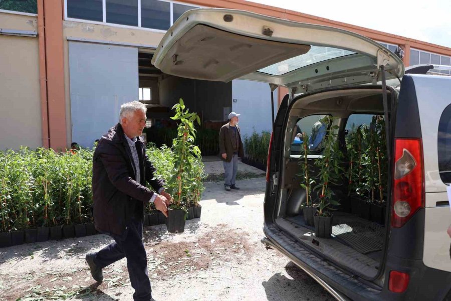 Konya Büyükşehir 31 İlçede Ürün Çeşitliliğini Artırmak İçin Çiftçiye Destek Oluyor