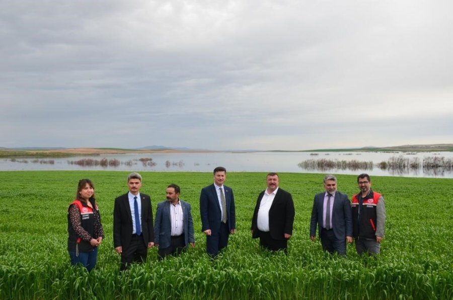 Beylikova Ayçiçeğinde Zirveye Oynuyor