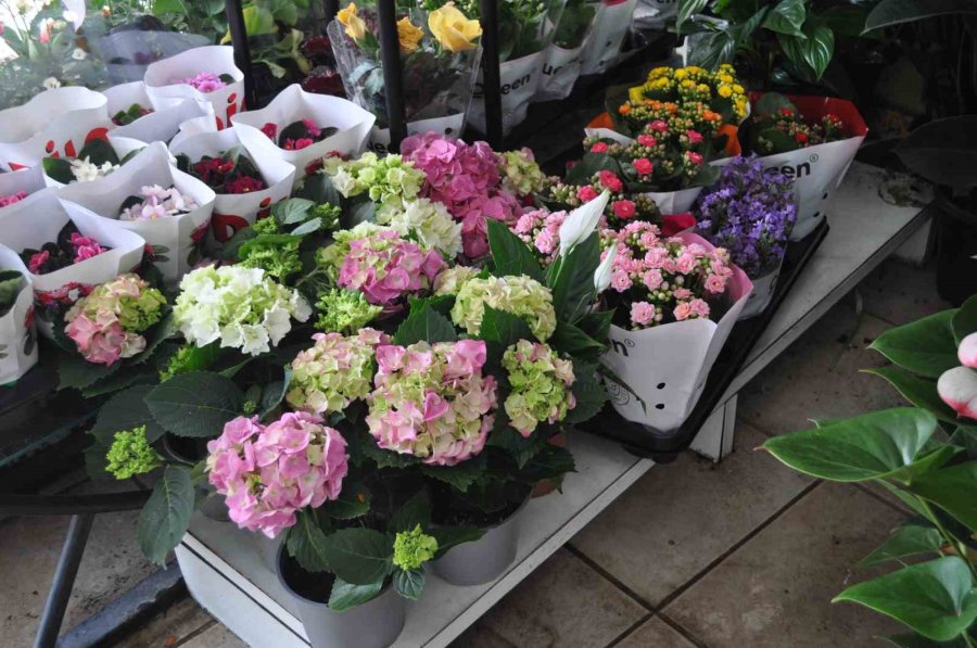 Anneler Günü İle Seçim Günü Aynı Tarihe Denk Geliyor