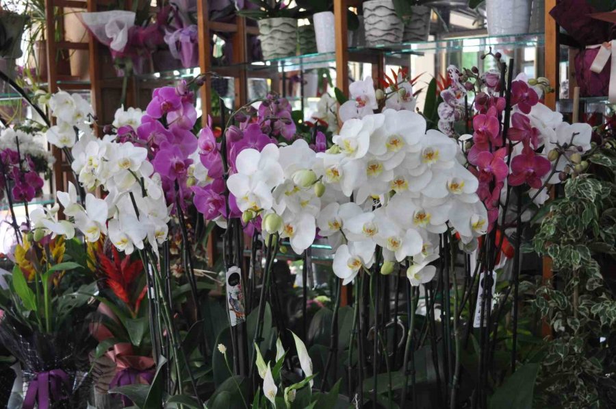 Anneler Günü İle Seçim Günü Aynı Tarihe Denk Geliyor