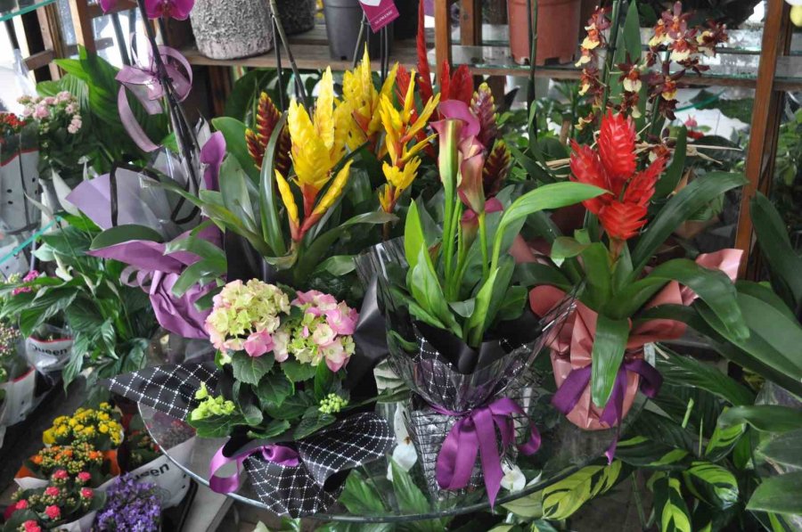 Anneler Günü İle Seçim Günü Aynı Tarihe Denk Geliyor