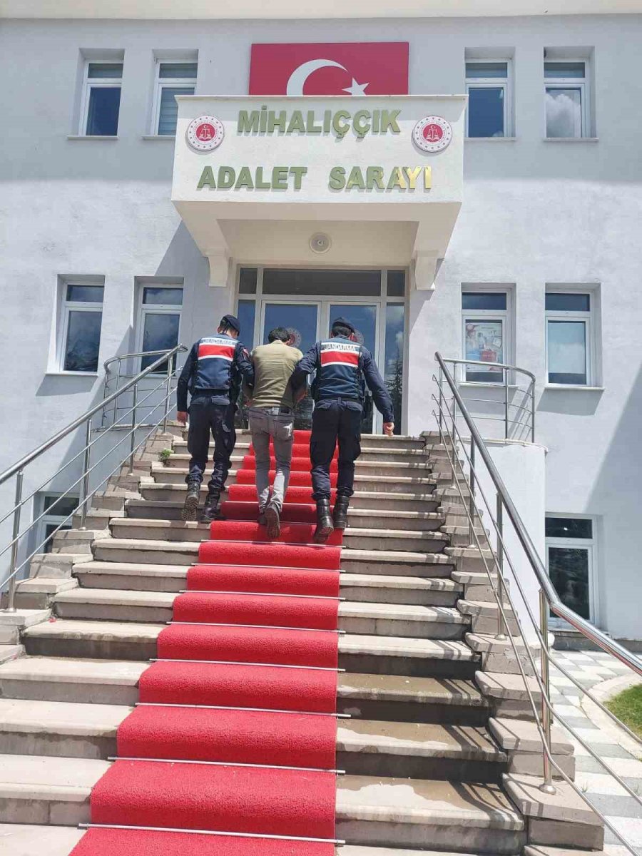 Yasa Dışı Esrar Yetiştiren Şahsın Evine Jandarmadan Operasyon