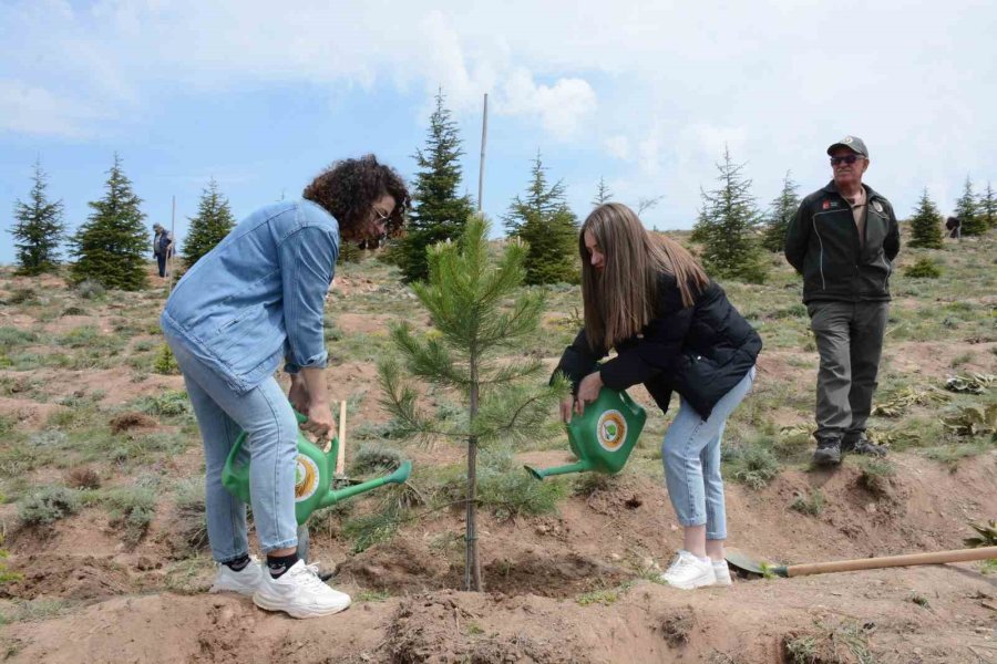 3 Kuşaktan Öğrenciler Birlikte Bin Fidan Dikti