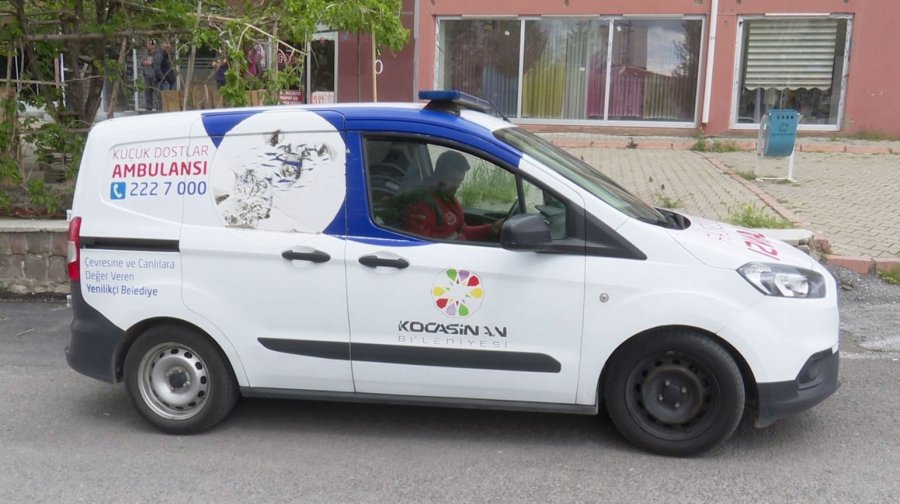 Yaralı Ebabil Kuşuna Kocasinan Belediyesi Sahip Çıktı