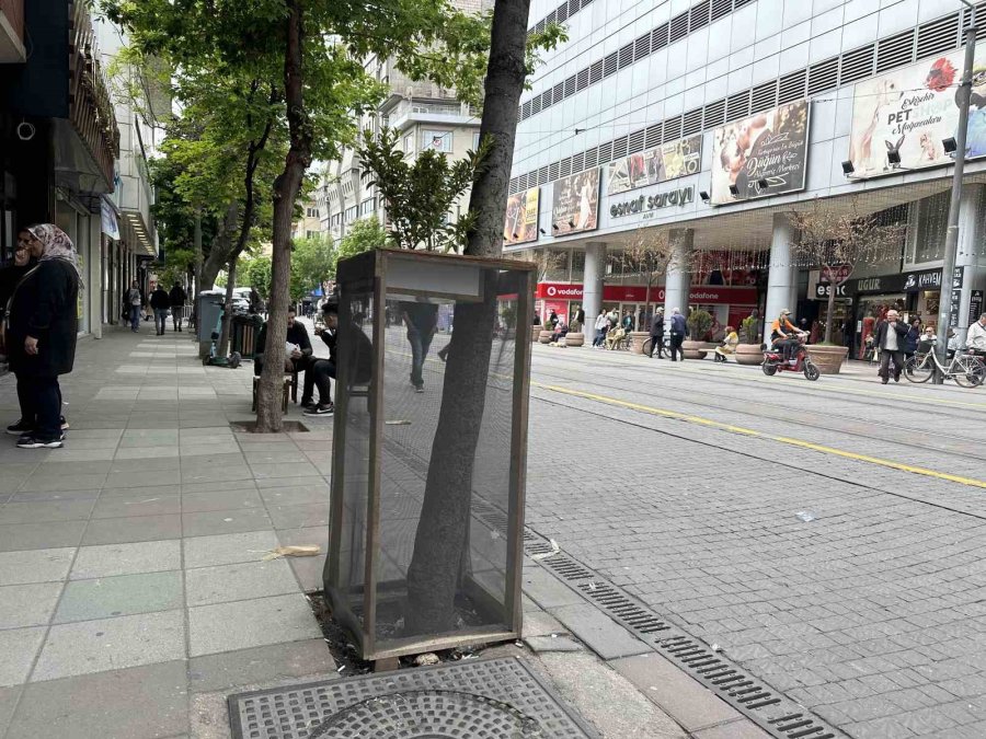 Ağaç Zarar Görmesin Diye Aldığı Önlemle Çevre Esnafına Da Örnek Oldu