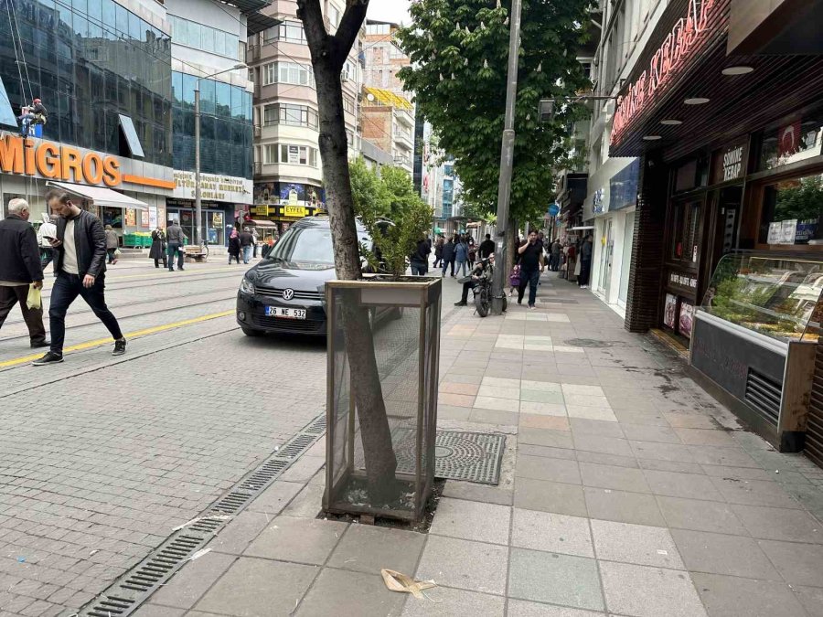 Ağaç Zarar Görmesin Diye Aldığı Önlemle Çevre Esnafına Da Örnek Oldu