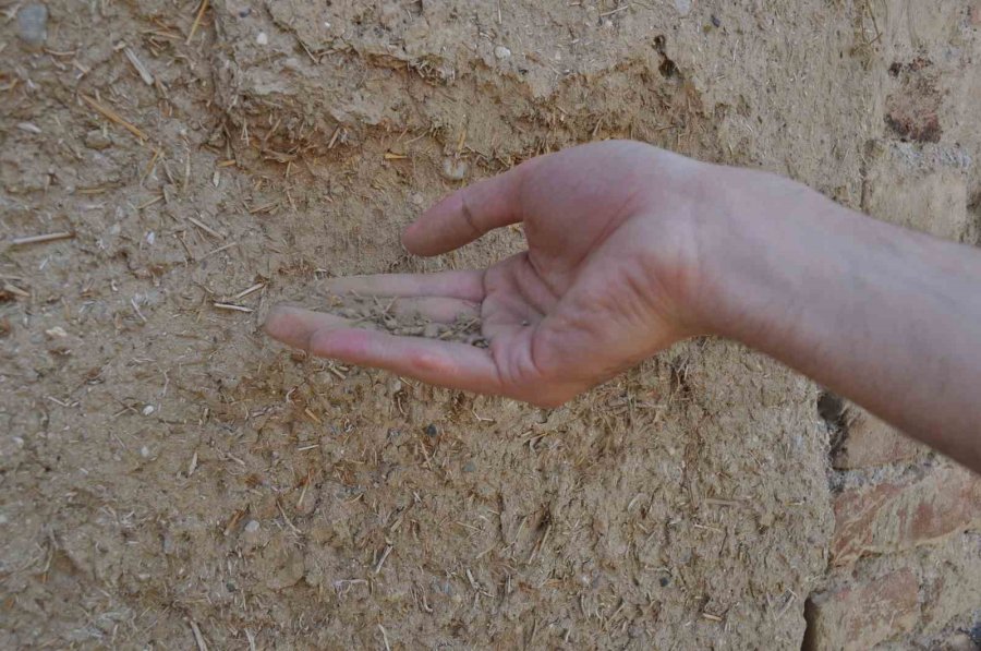 Tarihi Evlerin Boynu Bükük