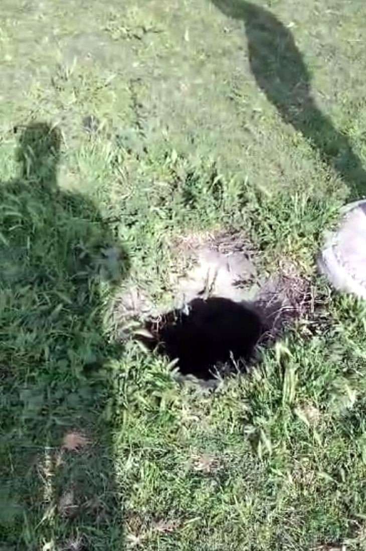 Mantar Toplamaya Giden Vatandaşlar Gördükleri Manzara Karşısında Şok Oldu