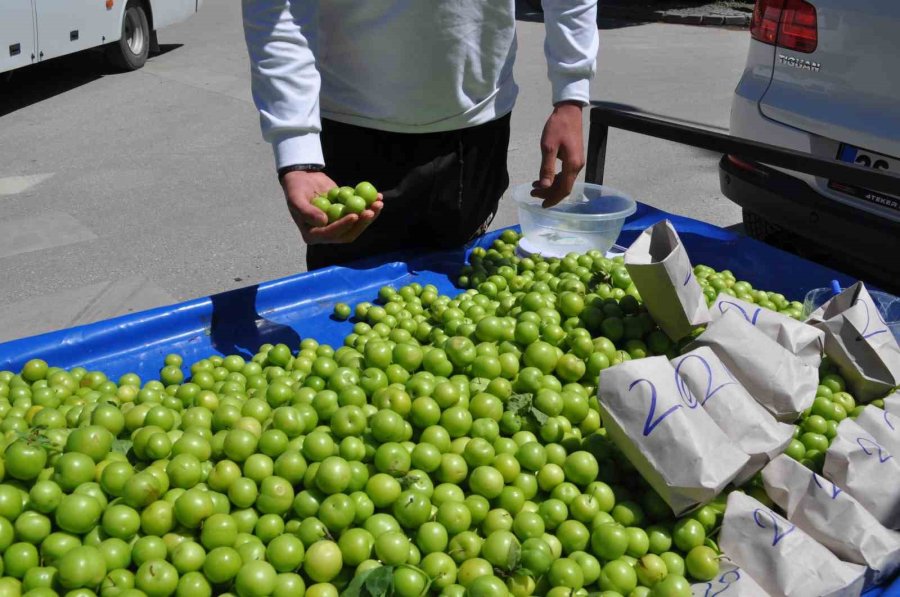 Oy Kullanılan Okulun Önüne Tezgah Kurup Erik Sattı
