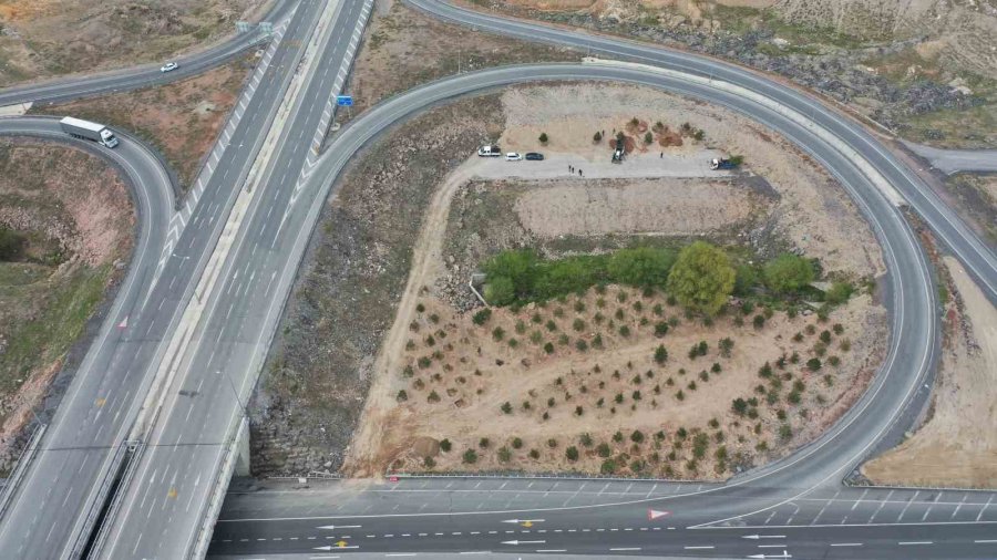 Büyükşehir, Mimarsinan Osb Kavşağı İle Refüjleri Ağaç Taşıma Yöntemi İle Ağaçlandırıyor