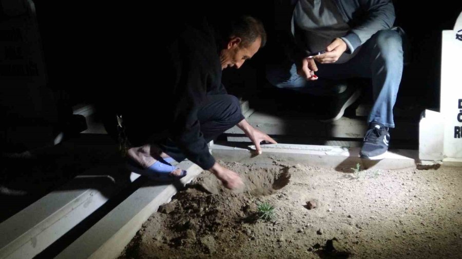 Mezarlıkta Bir Garip Olay: "insan Kemiği" Dedi, Hayvan Kemiği Çıktı