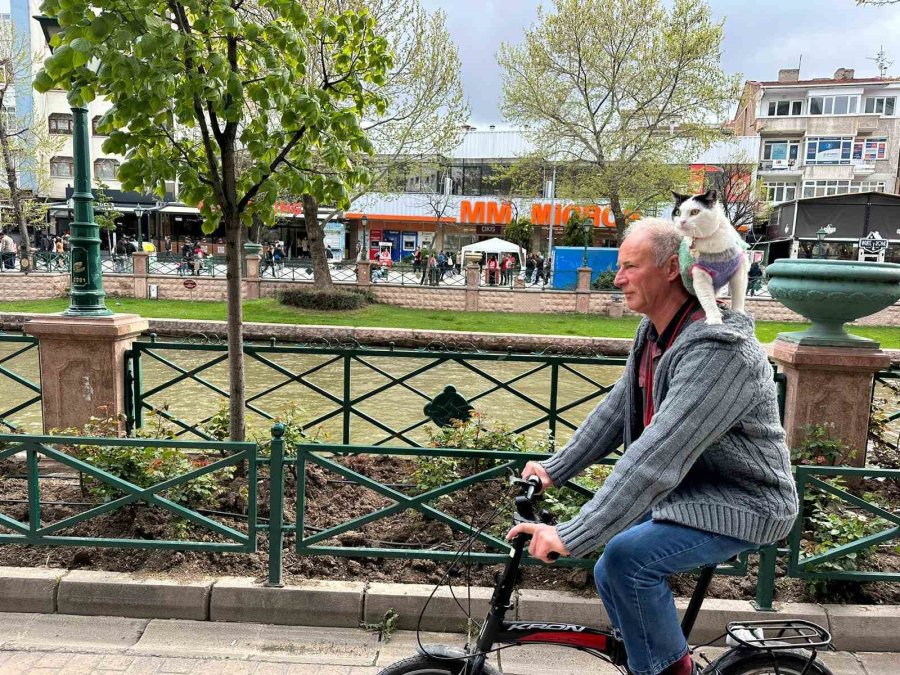 Boynunda Kedisi İle Tüm Türkiye’yi Dolaşıyor