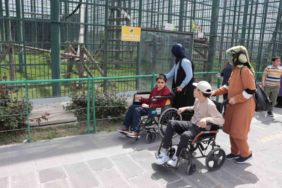 Özel Çocuklar Hayvanat Bahçesini Gezdi, Eğlenceli Vakit Geçirdi