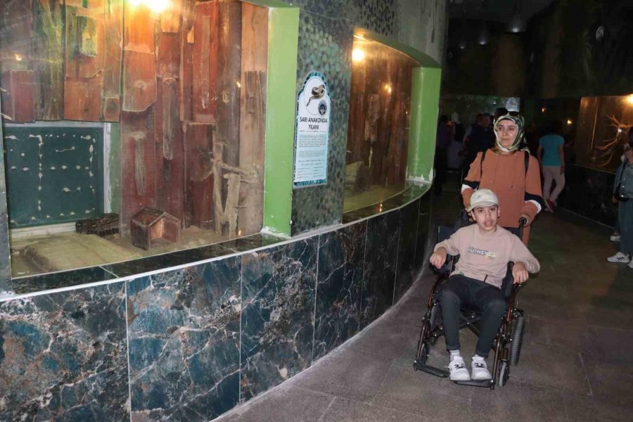 Özel Çocuklar Hayvanat Bahçesini Gezdi, Eğlenceli Vakit Geçirdi