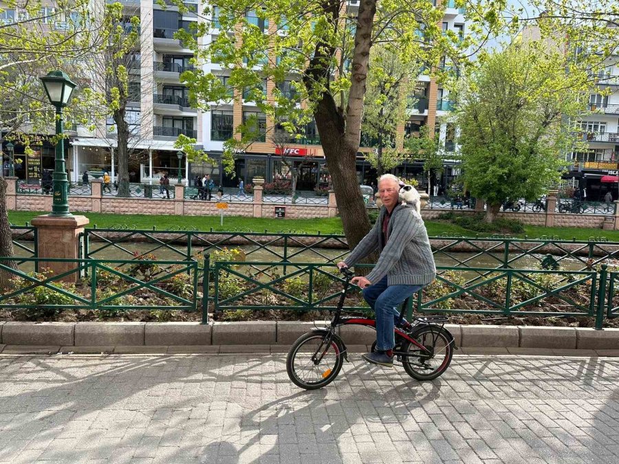 Boynunda Kedisi İle Tüm Türkiye’yi Dolaşıyor