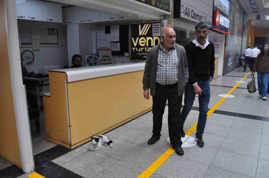 Otogarı Mesken Edinen ’paslak’ Yazıhanenin Maskotu Haline Geldi