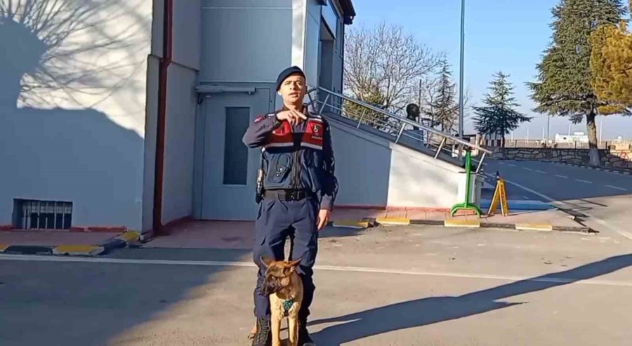 Jandarmaya İşaret Dili Eğitimi