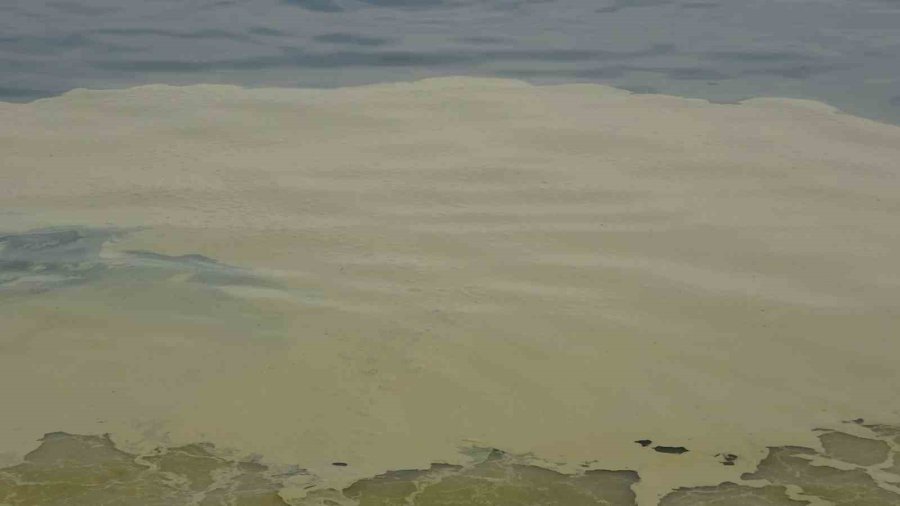 Denizde Oluşan Ve Vatandaşları Tedirgin Eden Görüntünün Mevsimsel Polenler Olduğu Ortaya Çıktı