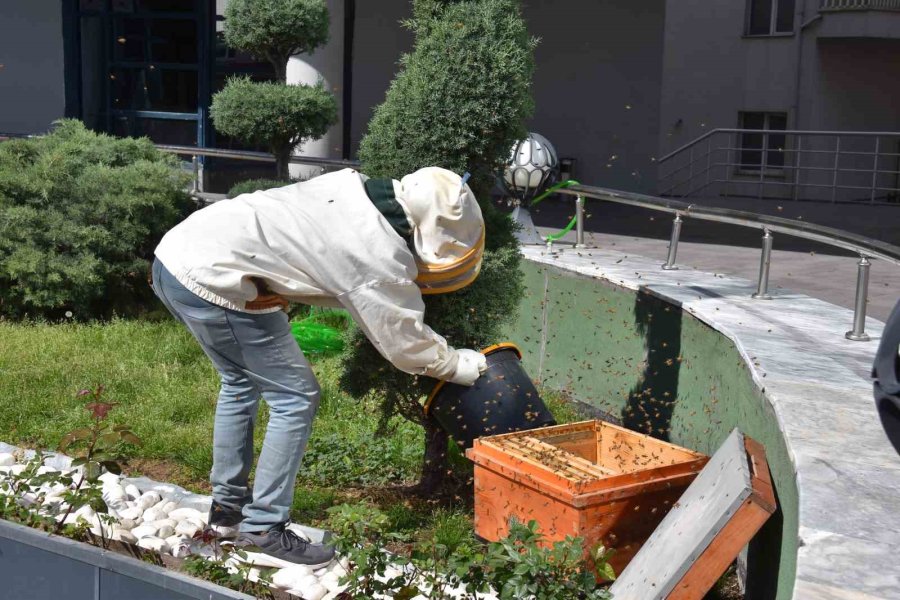 Belediyenin Bahçesine Konan Oğul Paniğe Yol Açtı