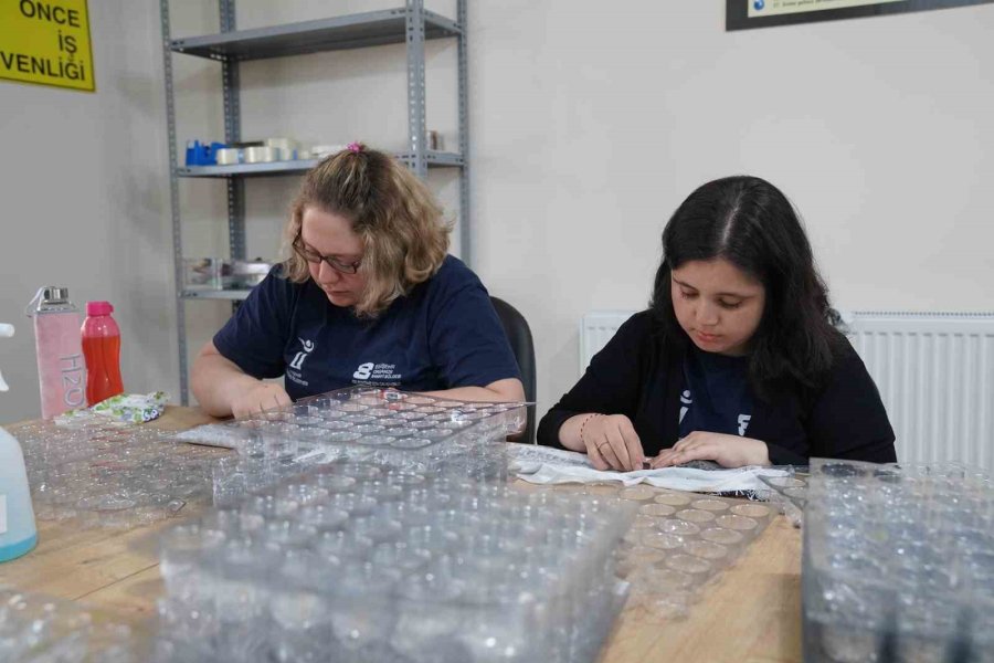 Tepebaşı’nda İstihdam Edilen 52 Özel Birey 14 Milyon Parçayı Monte Etti