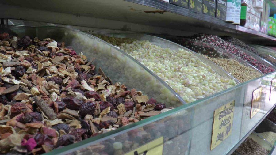 Yaz Nezlesine Zencefil