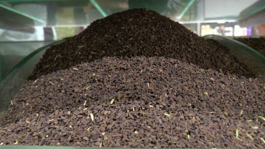 Yaz Nezlesine Zencefil