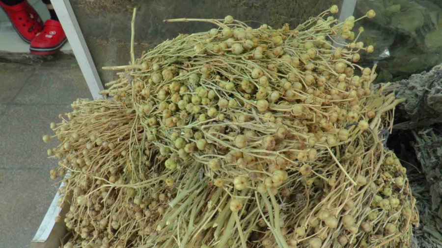 Yaz Nezlesine Zencefil