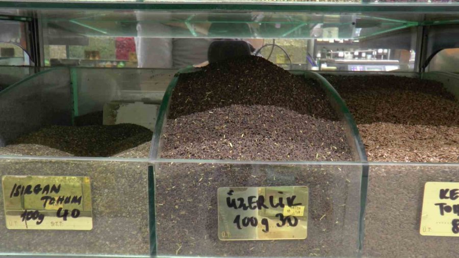 Yaz Nezlesine Zencefil