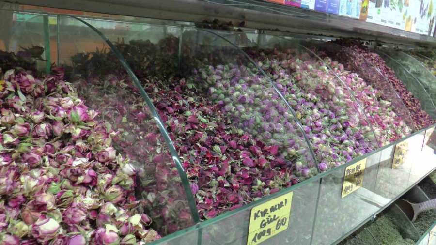 Yaz Nezlesine Zencefil