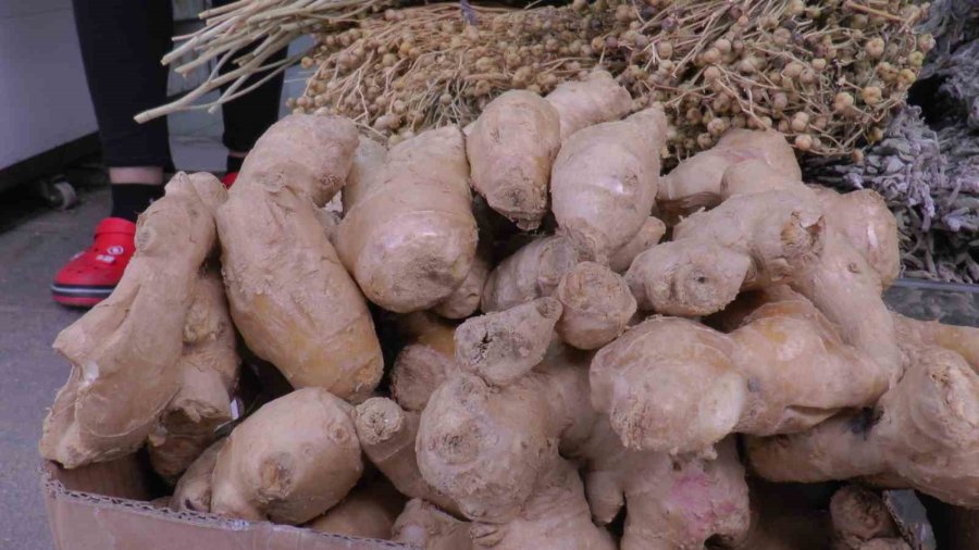 Yaz Nezlesine Zencefil