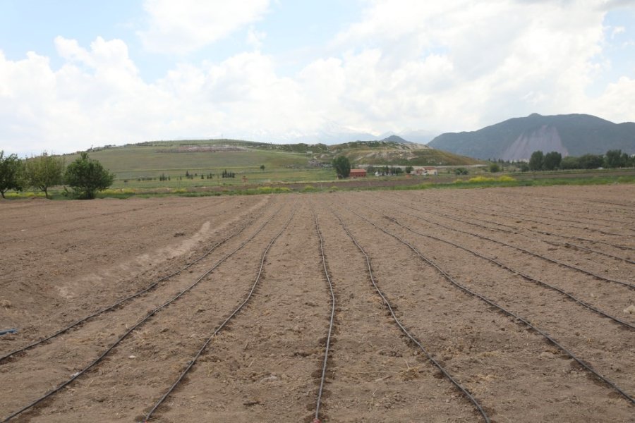 Başkan Çolakbayrakdar; “kocasinan, Şehrin Merkezinde Tarımsal Üretimle Türkiye’ye Örnek Olacak”