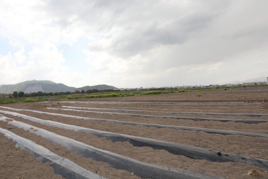 Başkan Çolakbayrakdar; “kocasinan, Şehrin Merkezinde Tarımsal Üretimle Türkiye’ye Örnek Olacak”