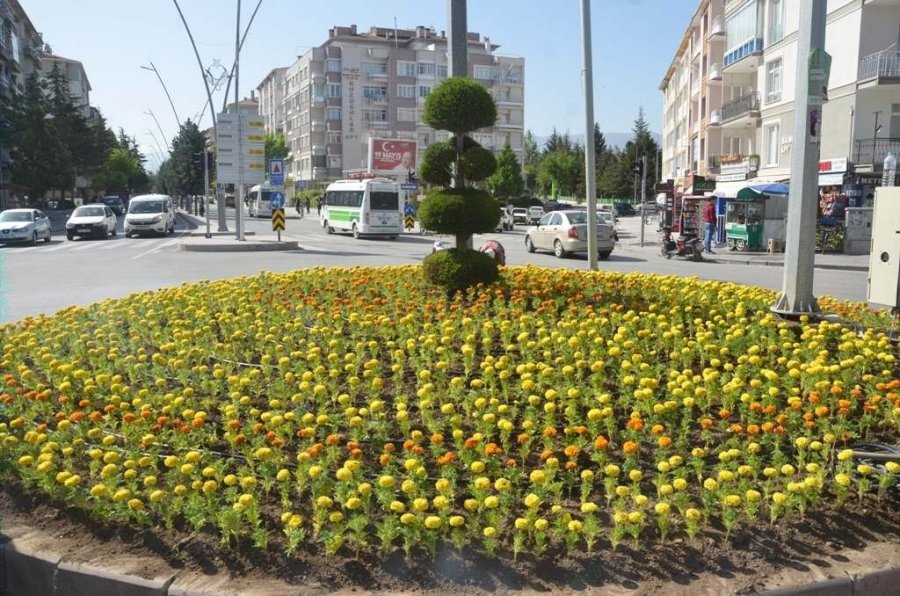 Ereğli Belediyesi Park Ve Refüjlere Çiçek Dikimini Sürdürüyor
