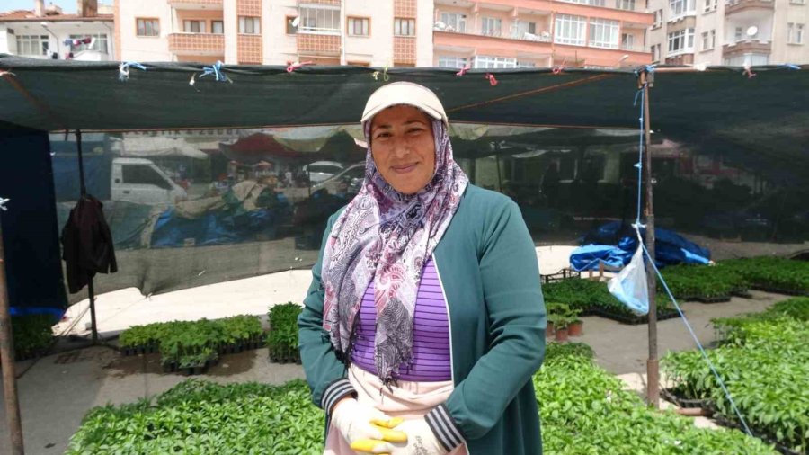 Havaların Isınması Fide Satışlarına Yaradı