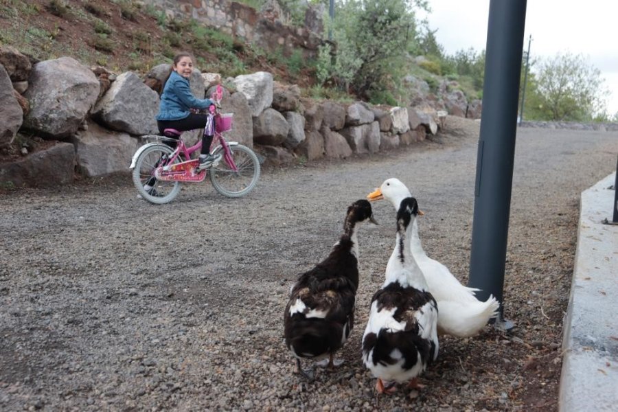 Kayserililer Zincidere 100. Yıl Mesire Alanı’na Akın Etti: 22 Günde 130 Bin Ziyaretçi