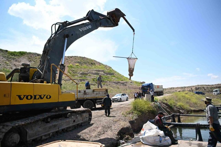 Denizi Olmayan Kayseri’de Türk Somonu Hasadı Başladı