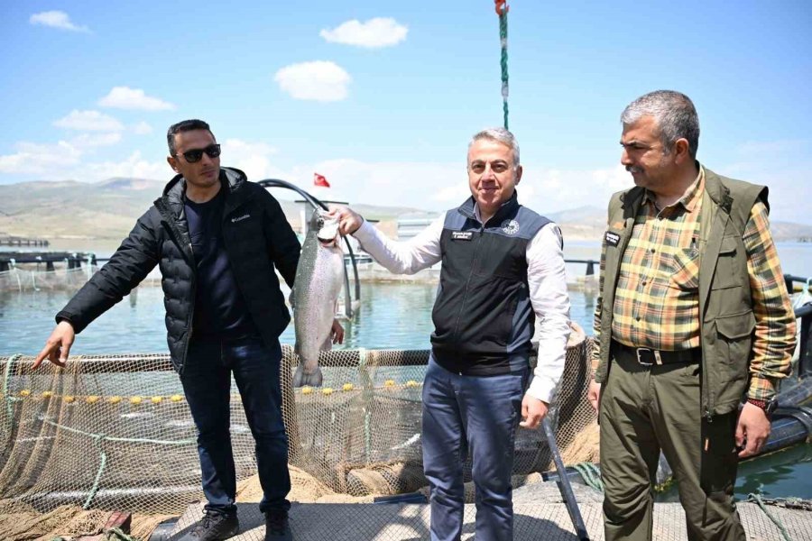 Denizi Olmayan Kayseri’de Türk Somonu Hasadı Başladı