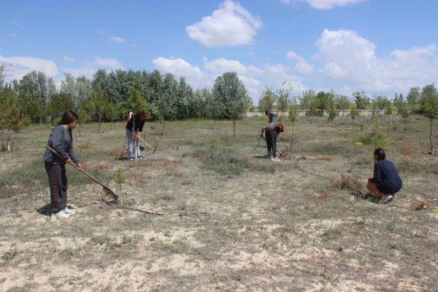 Okul Bahçesine Dikilen Ağaçların Bakımını Öğrenci Ve Öğretmenler Yapıyor