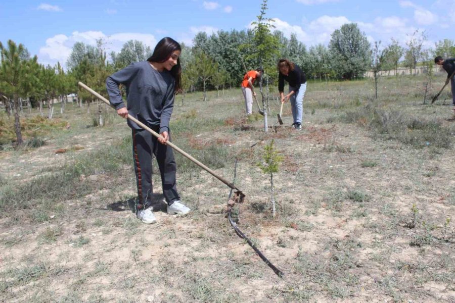 Okul Bahçesine Dikilen Ağaçların Bakımını Öğrenci Ve Öğretmenler Yapıyor