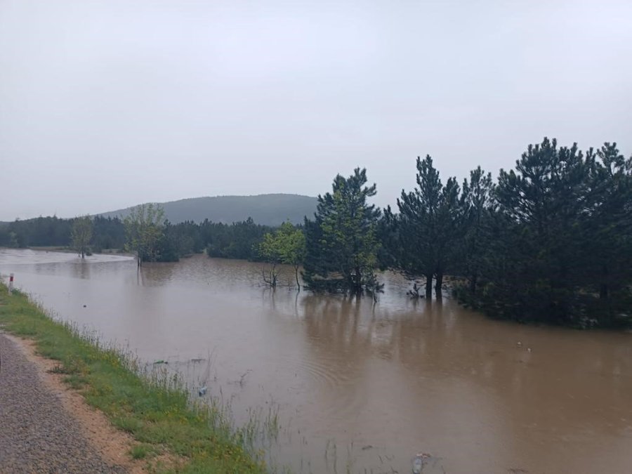Eskişehir Seyitgazi İlçesi Sele Teslim Oldu