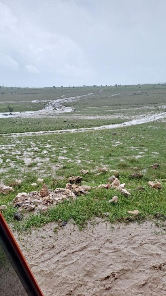 Eskişehir Seyitgazi İlçesi Sele Teslim Oldu