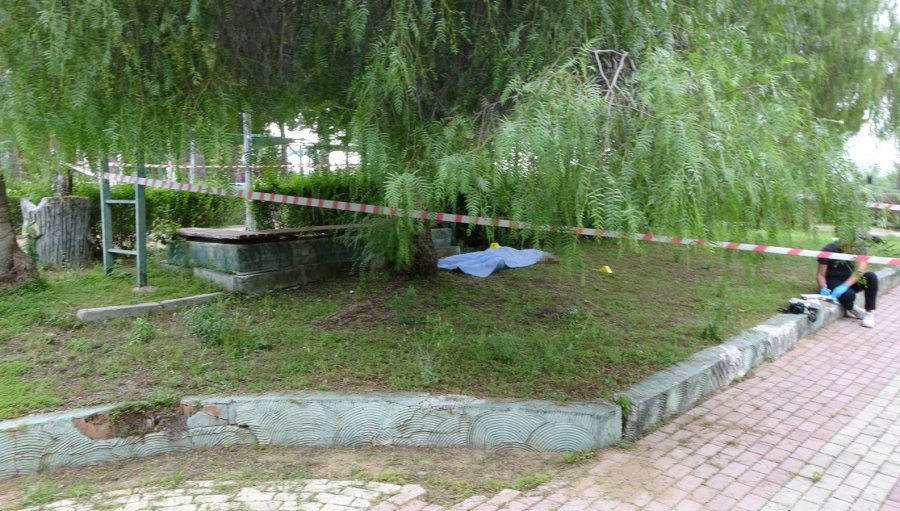 Başından Vurulmuş Halde Ölü Bulundu